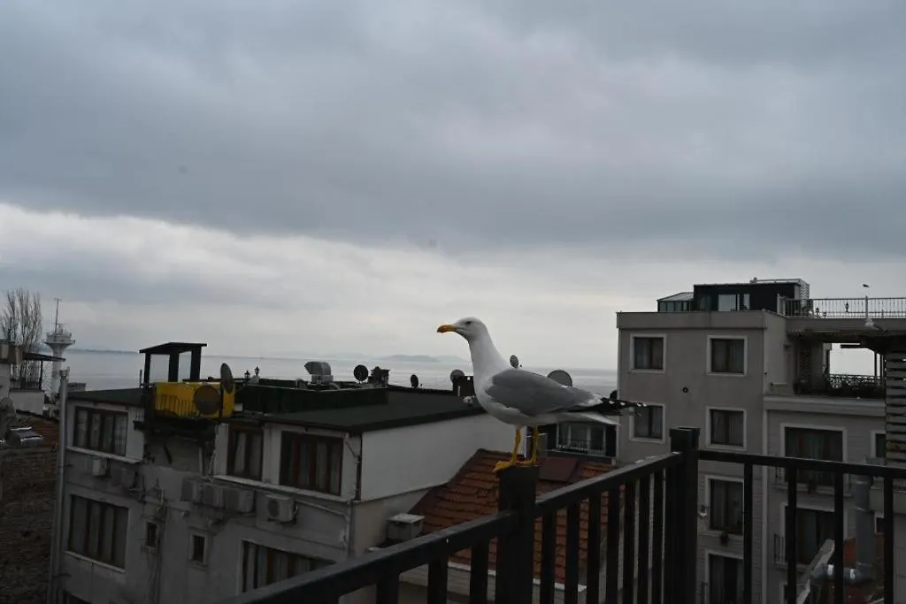 Nkalbatros Hotel Istanbul